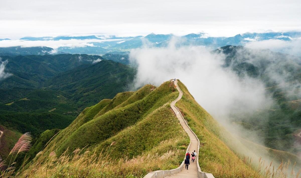 den hen lai len gioi tre sot xinh xich vi mua dep nhat binh lieu da den