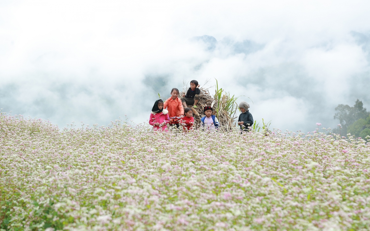 ha giang thang 10 co gi
