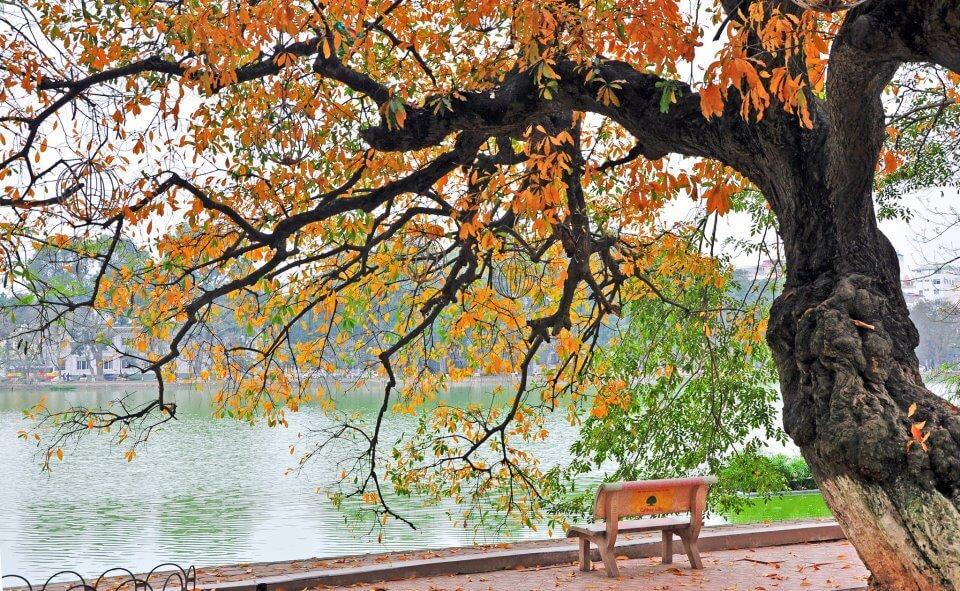 1 ngay tai ha noi mua thu di dau an gi