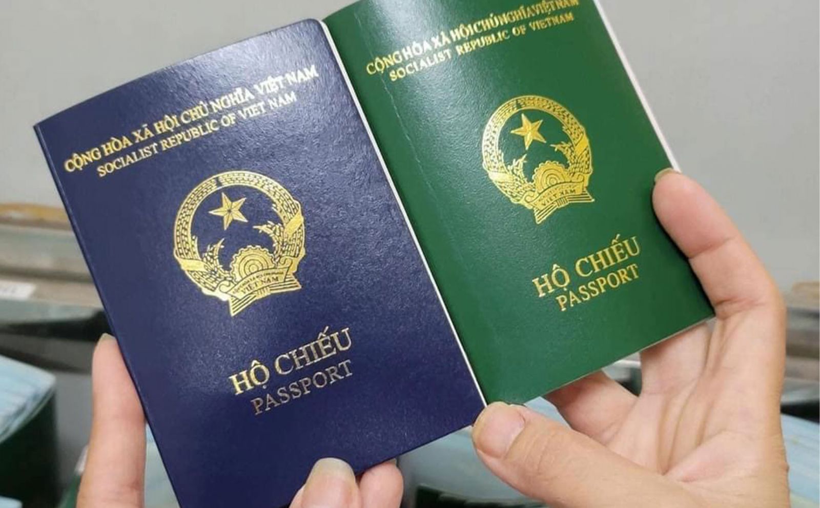 ho chieu viet nam di duoc nhung dau ma khong can visa
