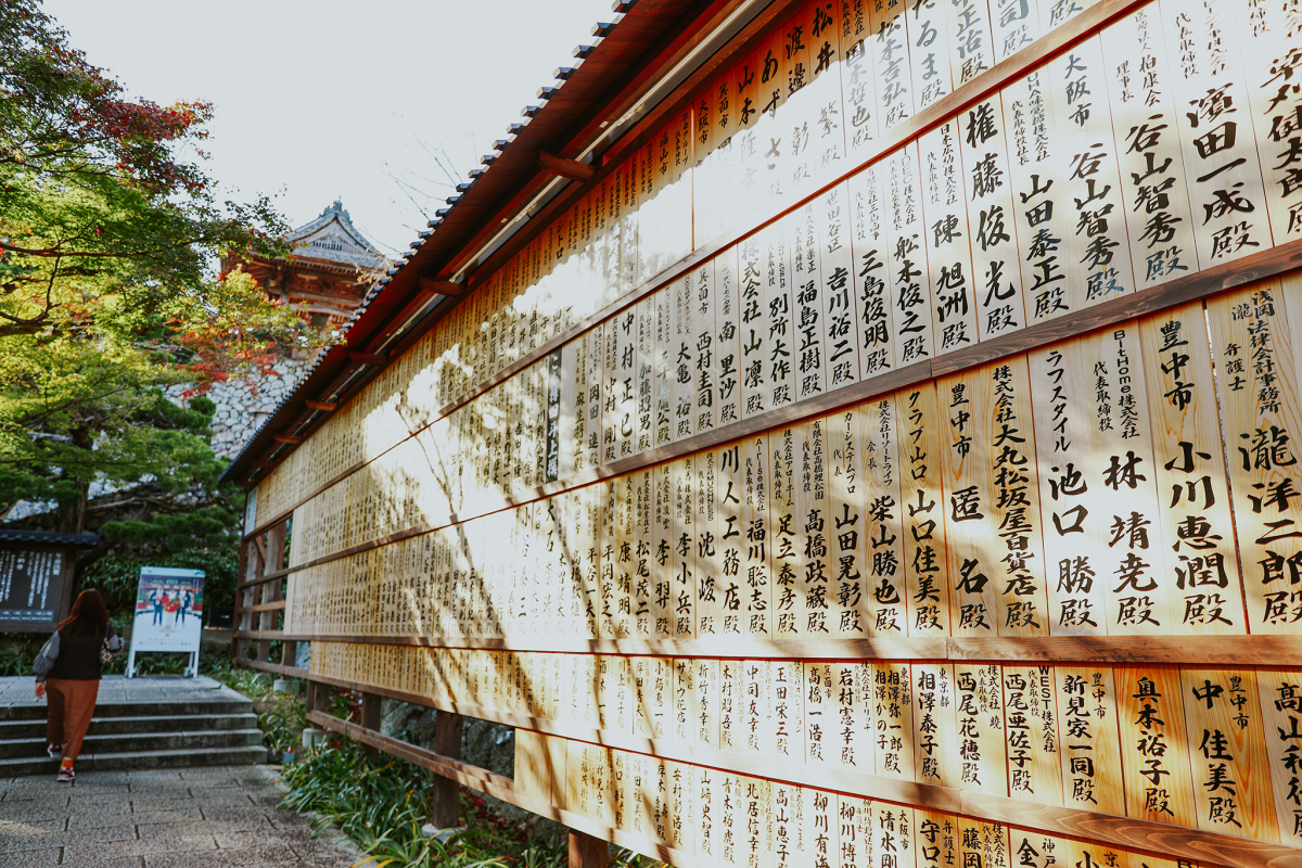 mua-thu-o-noi-co-hang-tram-bup-be-cau-may-daruma-10jpg-1701493490.jpg