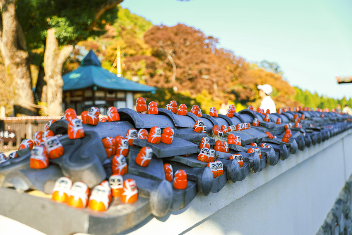 mua-thu-o-noi-co-hang-tram-bup-be-cau-may-daruma-14jpg-1701493415.jpg