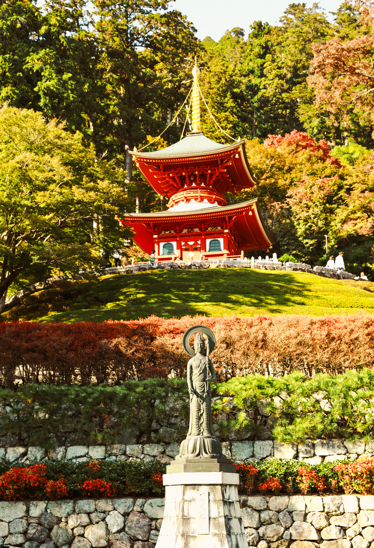 mua-thu-o-noi-co-hang-tram-bup-be-cau-may-daruma-15jpg-1701493338.jpg
