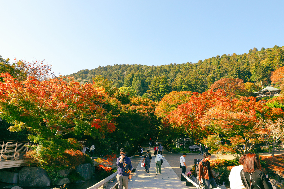 mua-thu-o-noi-co-hang-tram-bup-be-cau-may-daruma-7jpg-1701493312.jpg