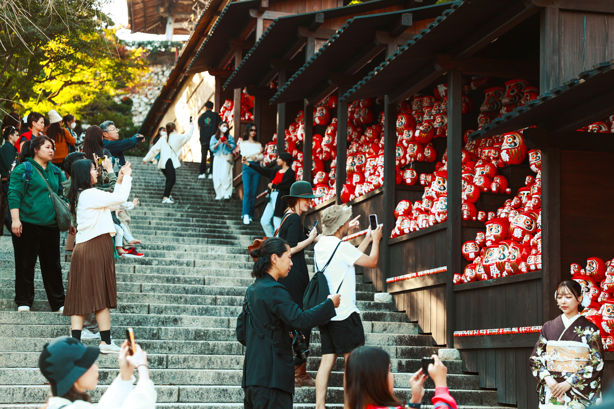 mua-thu-o-noi-co-hang-tram-bup-be-cau-may-daruma-8jpg-1701493373.jpg