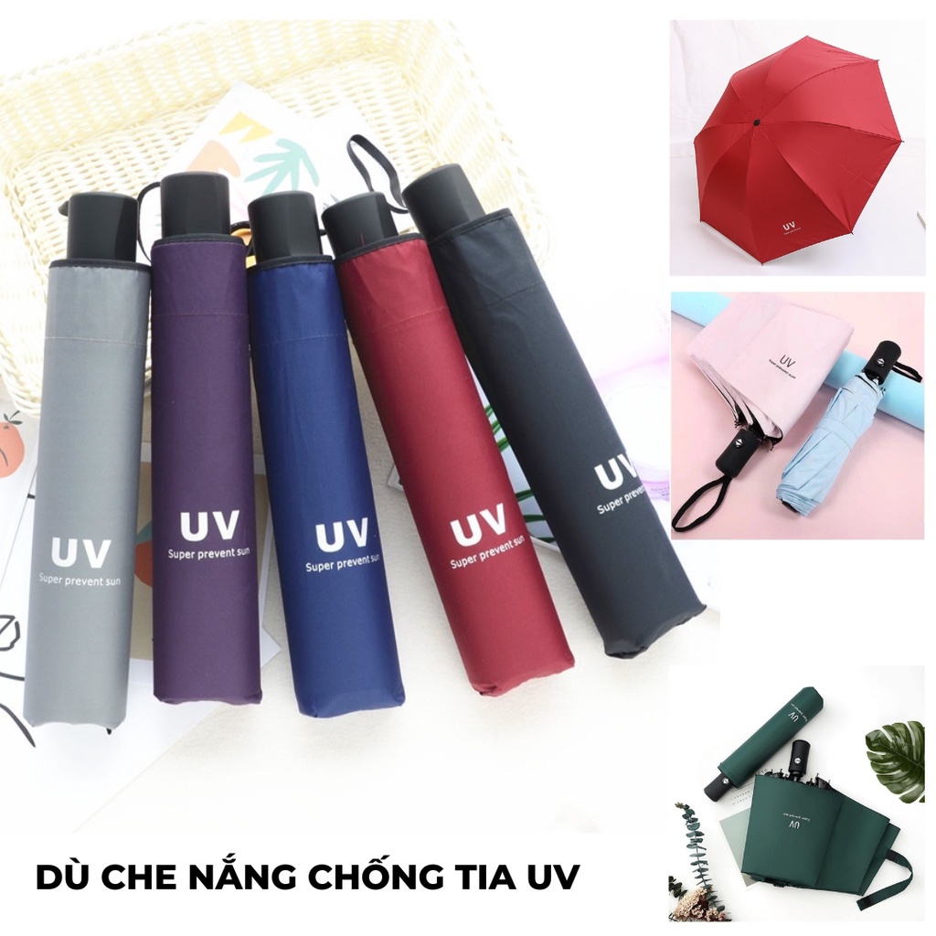  d che nng chng tia UV gp gn tin li